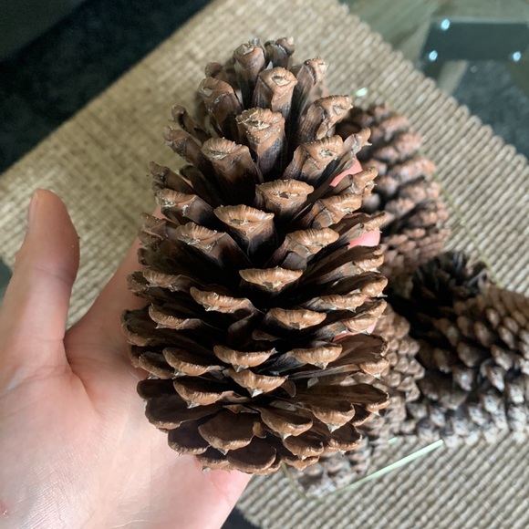 X9 natural large pine cones / Christmas home decorations / Great for Crafts - Picture 2 of 5